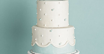 Gardner Blue Ribbon Cake Main